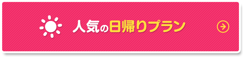 おすすめ日帰りプラン