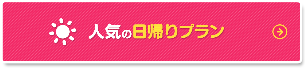 おすすめ日帰りプラン