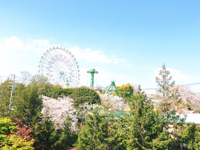 春爛漫