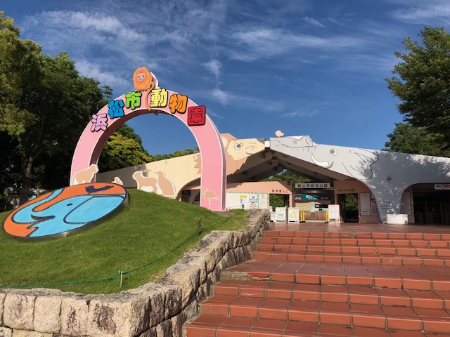 浜松市動物園「NIGHT ZOO 2023」