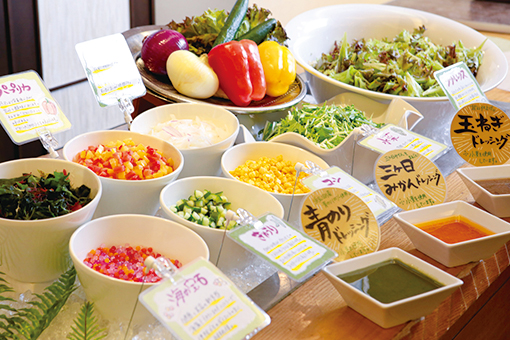 <p>サラダ＆こだわりのドレッシング</p>