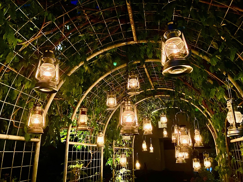 【15周年記念イベント】ウェルシーズン×KANZANJI LANTERN PROJECT